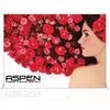 Aspen Display Systems
