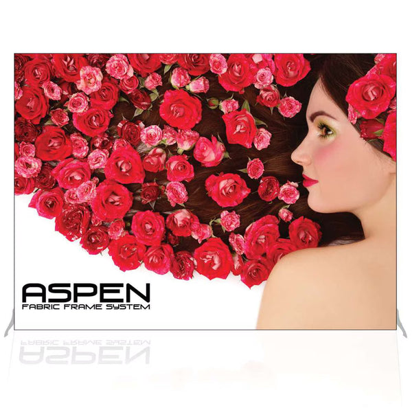Aspen Display Systems