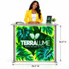 Trade Show Backlit Counters