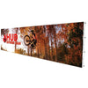 30ft. RPL Fabric Pop Up Display